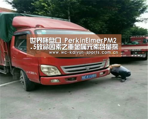 世界杯盘口_PerkinElmerPM2.5致命因素之重金属元素含量探究(图3) 滚球数据