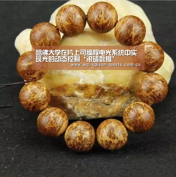 哈佛大学在片上可编程电光系统中实现光的动态控制‘滚球数据’(图2) 世界杯盘口