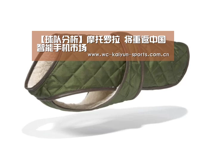比赛预测