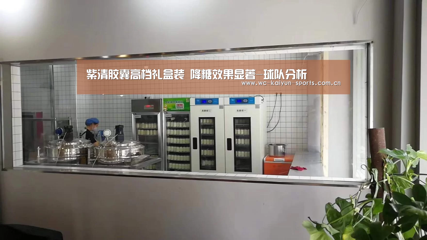 紫清胶囊高档礼盒装 降糖效果显著-球队分析(图2) 世界杯盘口