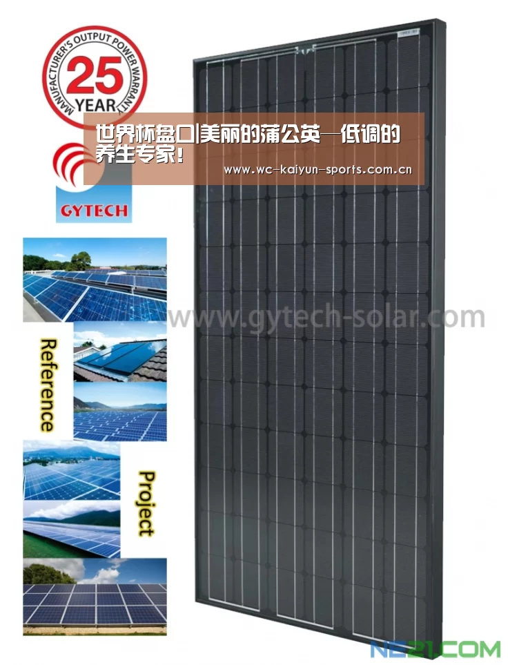 世界杯盘口|美丽的蒲公英—低调的养生专家!(图4) 球队分析