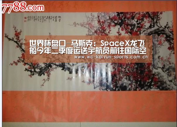 世界杯盘口-马斯克:SpaceX龙飞船今年二季度运送宇航员前往国际空间站(图1) 球队分析