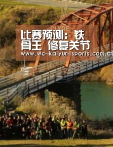 比赛预测:铁骨王 修复关节疼痛(图1) 滚球数据