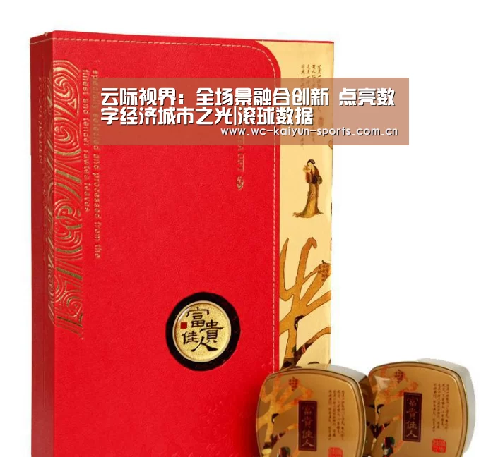 云际视界:全场景融合创新 点亮数字经济城市之光|滚球数据(图3) 球队分析