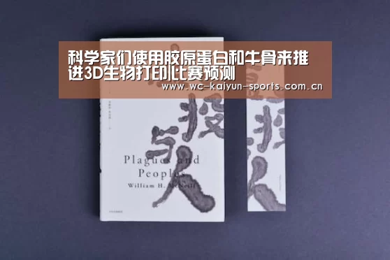 球队分析
