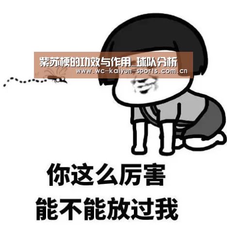 球队分析