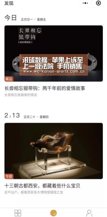 滚球数据-苹果上诉至上一级法院 手机销售继续(图3) 比赛预测