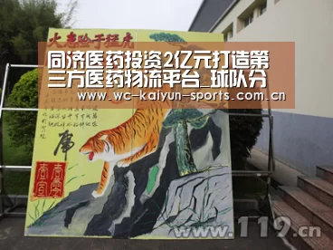 滚球数据