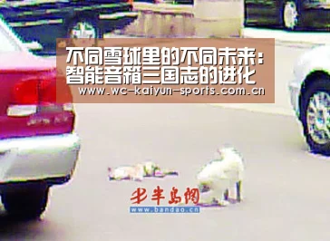 不同雪球里的不同未来:智能音箱三国志的进化方向‘滚球数据’(图3) 比赛预测