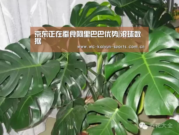 京东正在蚕食阿里巴巴优势|滚球数据(图1) 比赛预测