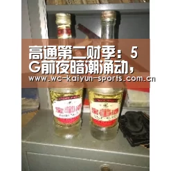高通第二财季:5G前夜暗潮涌动,高通能否领跑5G赛道?-滚球数据(图1) 滚球数据