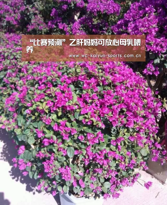 “比赛预测”乙肝妈妈可放心母乳喂养(图2) 滚球数据