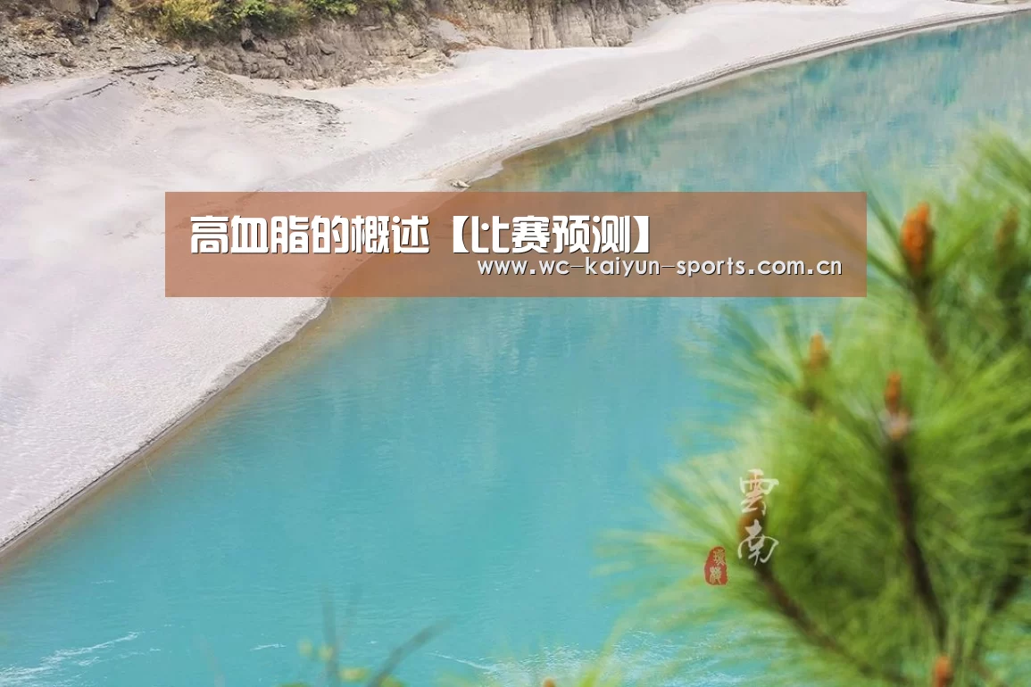 高血脂的概述【比赛预测】(图1) 比赛预测
