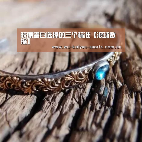 球队分析
