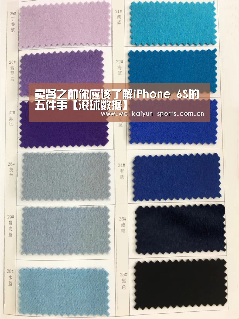 卖肾之前你应该了解iPhone 6S的五件事【滚球数据】(图2) 比赛预测