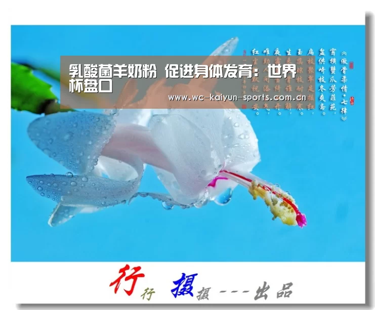 乳酸菌羊奶粉 促进身体发育:世界杯盘口(图2) 球队分析