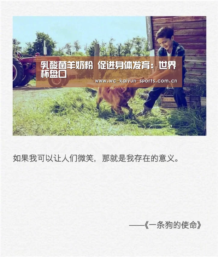 乳酸菌羊奶粉 促进身体发育:世界杯盘口(图1) 比赛预测