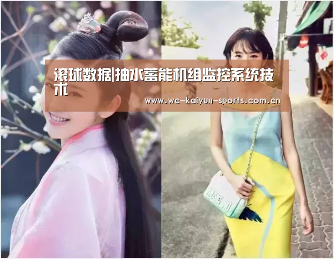 滚球数据|抽水蓄能机组监控系统技术(图1) 比赛预测