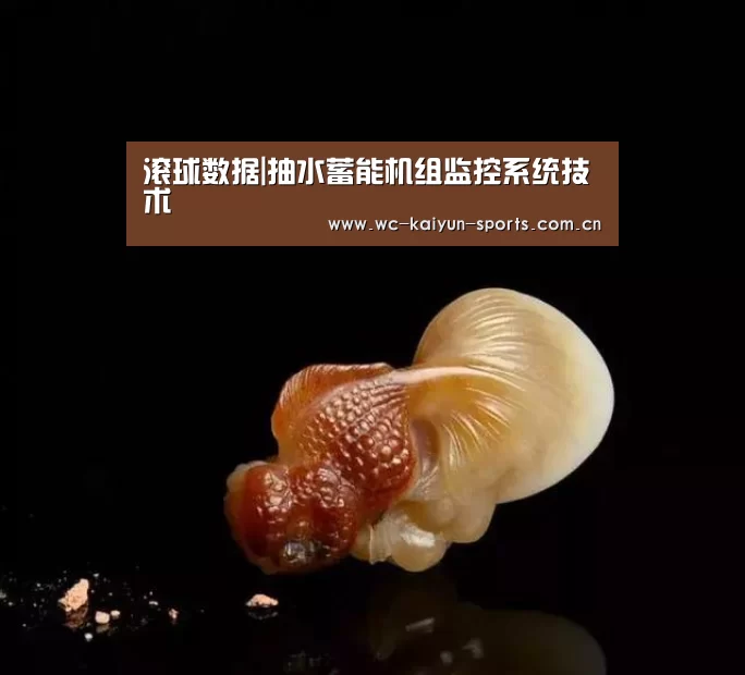滚球数据|抽水蓄能机组监控系统技术(图3) 世界杯盘口
